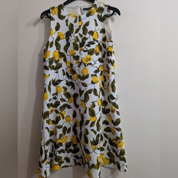 Zara Basic Women's Lemon citrus Print Shift Dress Sz S - Picture 6 of 8